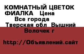 КОМНАТНЫЙ ЦВЕТОК -ФИАЛКА › Цена ­ 1 500 - Все города  »    . Тверская обл.,Вышний Волочек г.